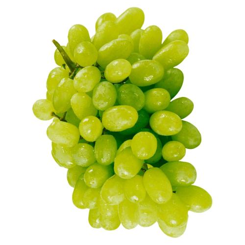 Trauben hell kernlos 500g
