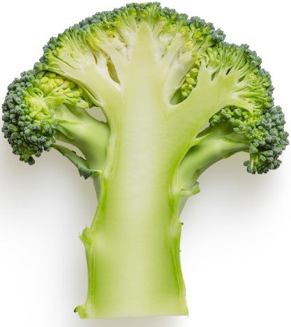 Brokkoli-Gegart 1kg