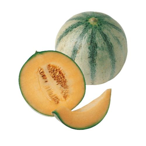 Melone Cantaloupe