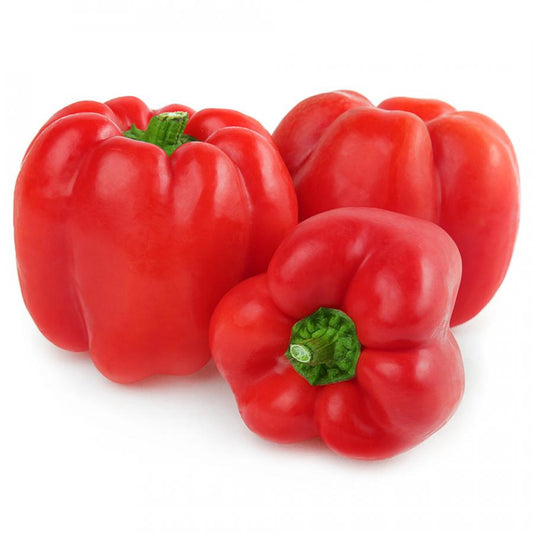 Paprika rot 500g